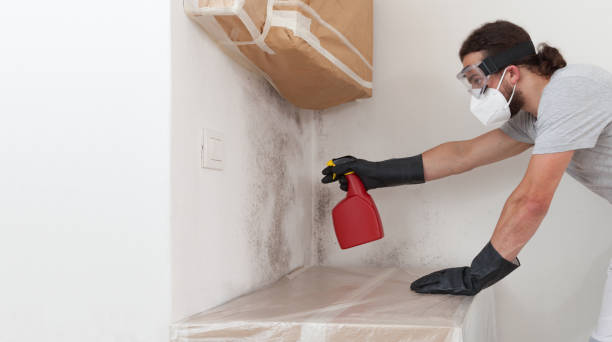 Professional Mold Remediation technician working in Victoria, VA