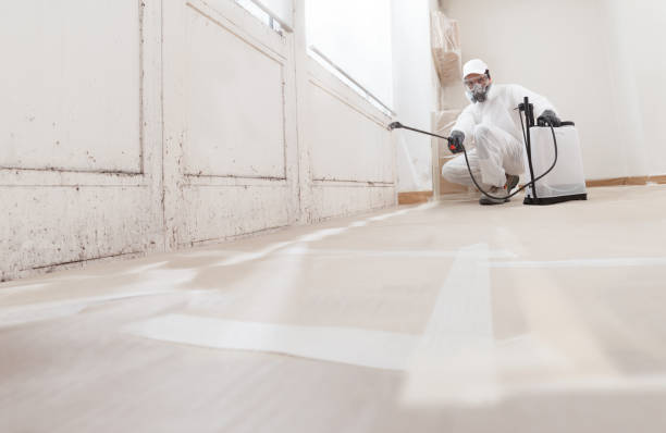24/7 Emergency Mold Remediation experts in Victoria, VA