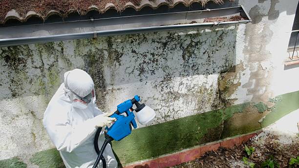 Top rated local Mold Remediation specialists in Victoria, VA